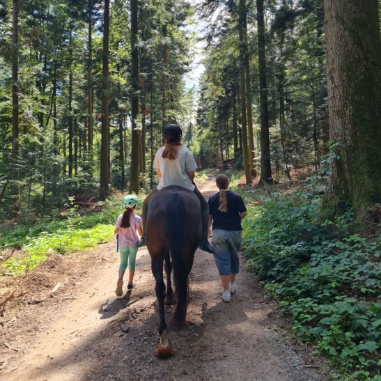 Kinderfreizeit in Moosbronn